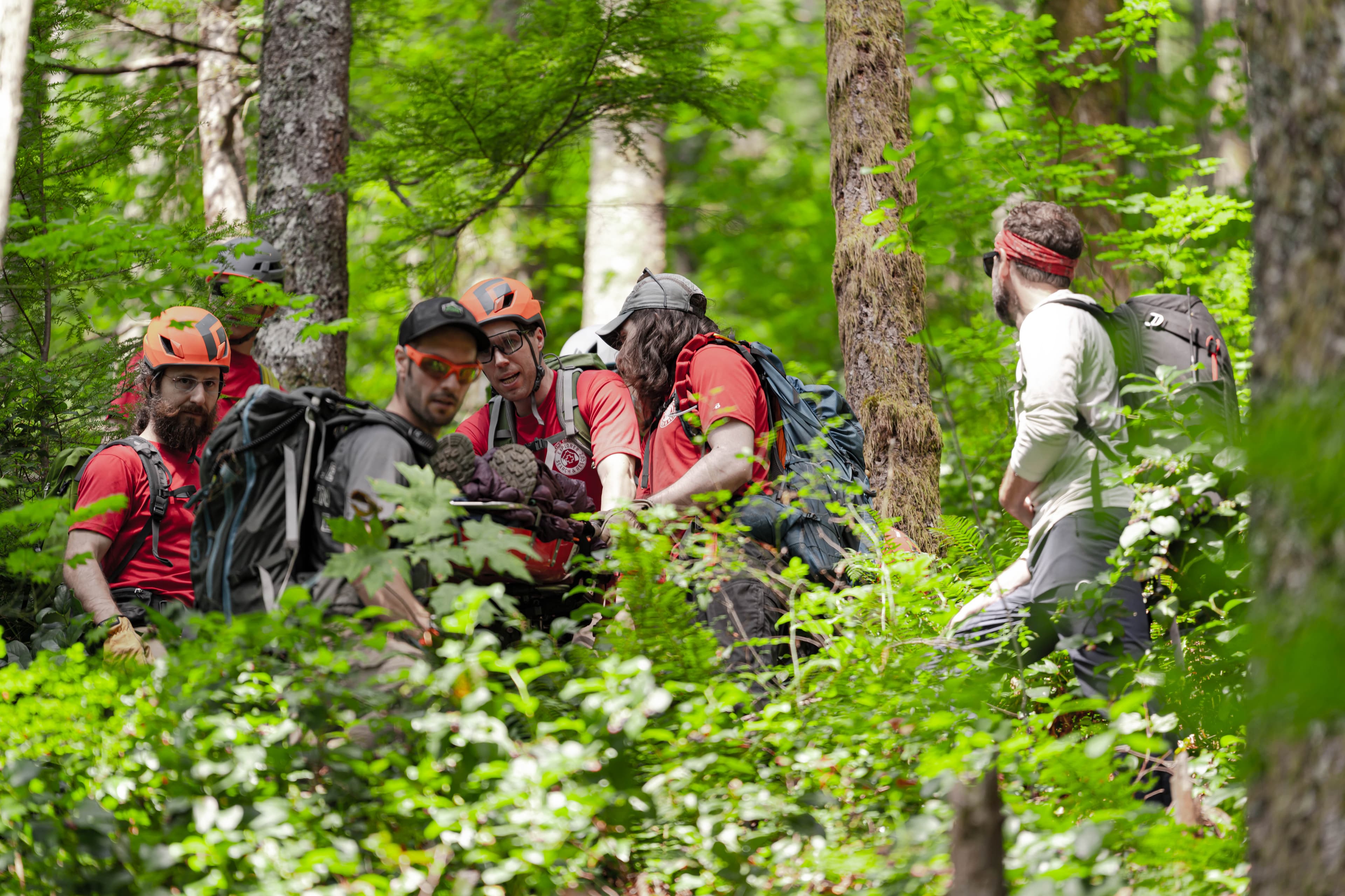 Rescuers above preparing to lower a litter